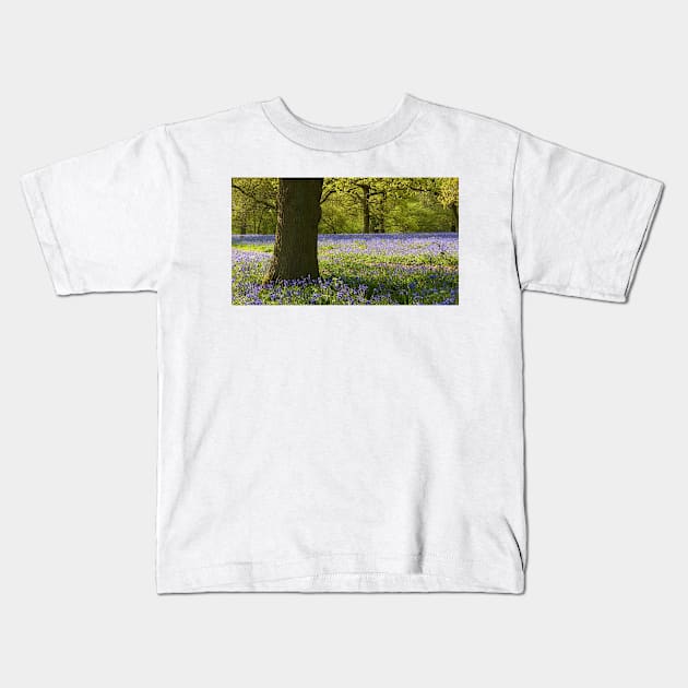 Bluebell Wood, Essex Kids T-Shirt by Chris Petty